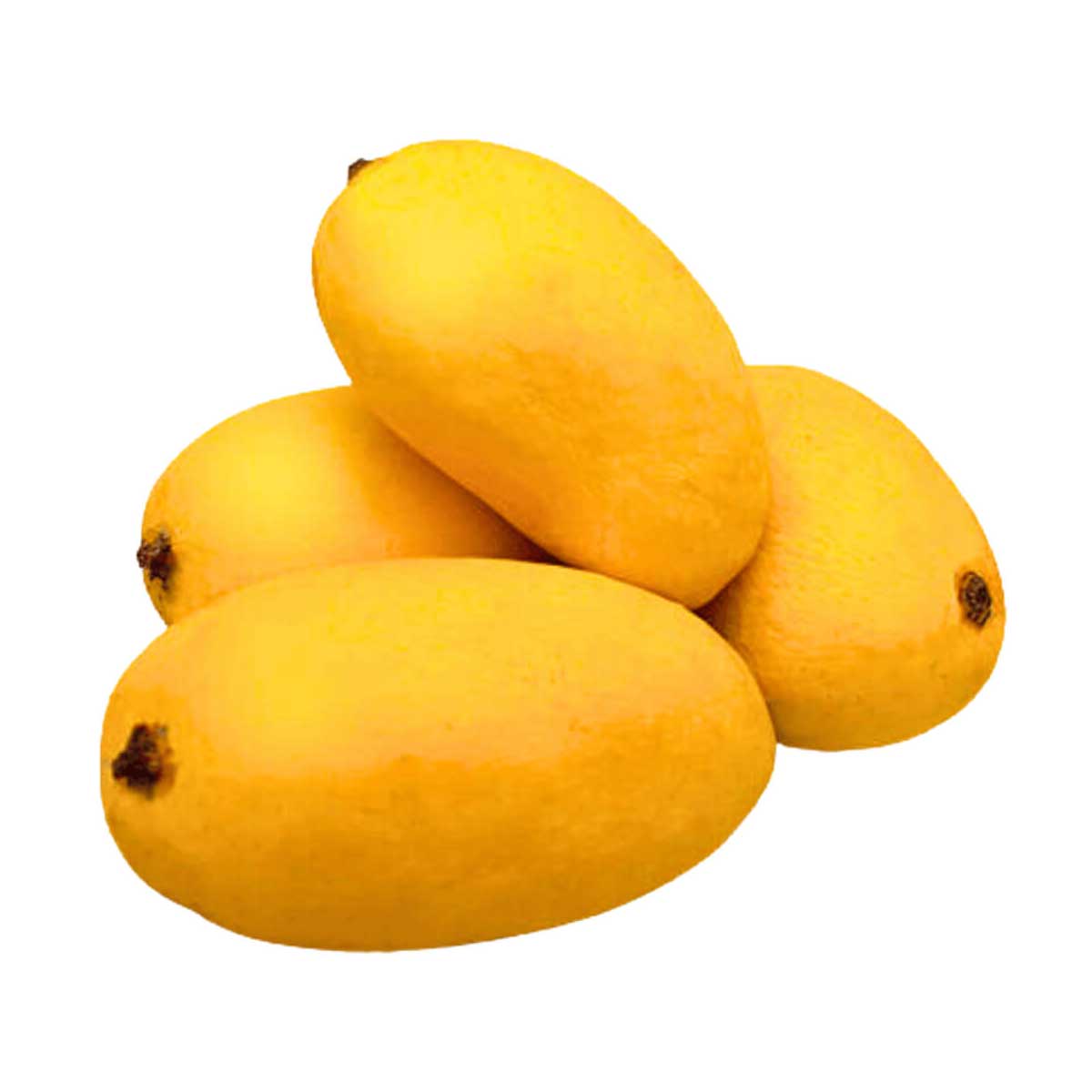 Mango Sindhri